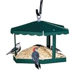 New Homestead Fly-Through Gazebo Feeder Open Fly-Thru Design High Quality Modern Design Popular