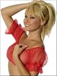 Baby Doll Sheer Crop Top