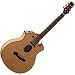 Parker P8E Acoustic Electric Guitar Natural (Natural)