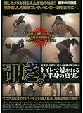 �`���B�^����ƁETV�ǂł̏A�E�������̃g�C���Ŗ\����鉺���g�̐^���B [DVD] �摜