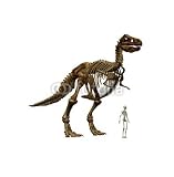 Wallmonkeys Peel and Stick Wall Decals - T-rex - 24H x 24W Removable Graphic