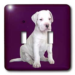 Dogs Argentine Dogo - Argentine Dogo Puppy - Light Switch Covers - double toggle switch