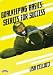 Sporting Goods : Lisa Cellucci: Goalkeeping Basics: Secrets for Success (DVD)