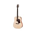 Walden Guitars D740 Natura Series Dreadnought Acoustic Guitar
