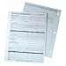Adams Applications for Employment, 8.5 x 11 Inch, 3-Hole Punched, 50-Sheets/Pack, 2-Pack, White (9661)