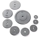 10 lb Standard Gray Weight Plates
