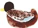 Kitchen & Housewares : Kong Dr Noys Duck Large