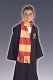 Harry Potter Scarf Costume Accessory