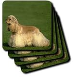 Dogs Cocker Spaniel - Cocker Spaniel - Coasters