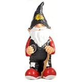 Forever Collectibles NHL Chicago Blackhawks Garden Gnome