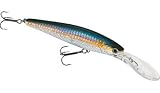 Fishing: Lucky Craft Staysee