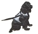Dog Safety Harness - Keeps Your Dog Secure & Protected While Traveling in a Car - Silver - Size Large (L)