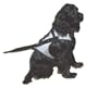 Dog Safety Harness - Keeps Your Dog Secure & Protected While Traveling in a Car - Silver - Size X-Large (XL)