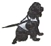 Dog Safety Harness - Keeps Your Dog Secure & Protected While Traveling in a Car - Silver - Size Medium (M)