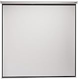 Model B 96X96 Mw Manual Pull Down Screen