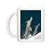 Bottlenose Dolphin - bow-riding / bowriding Photo Mugs