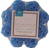 Spongeables Spongelle Bodywash Infused Sponge (Blue Daisy) 10+ Uses Citrus Accord/Musk Infusion