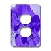 Patricia Sanders Flowers - Deep Purple Spiritual Floral Flowers Designs Inspired by Nature - Light Switch Covers - 2 plug outlet cover