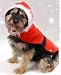 Santa Suit for Dogs - Small