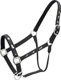 Abetta Running Horse Nylon Halter