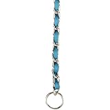 Guardian Gear 14-Inch Steel Dog Choke Chain with Nylon Webbing, Bluebird