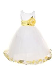 Girls Organza/Polyester/Satin/Tulle Illusion  Two-Toned Sleeveless Flower-Girl Dress/Pageant Dress  With a Bow(s) and a Sash 
