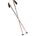 Joystick Donovan Ski Pole