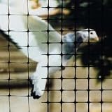 Tools & Hardware : Bird-X NET-STD-200-14 BirdNet Standard 3/4 In. Black Mesh 200 Ft x 14 Ft
