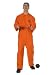 JAIL BIRD