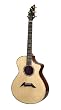 Breedlove Master Class Exotic VI Acoustic Guitar, Made in U.S.A.