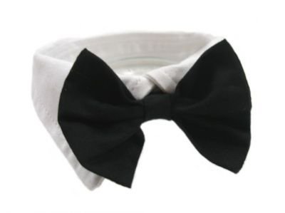 Dog Bow Tie Collar - Black, XS