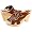 tropez-brow kid suede-7