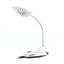 Desktop LED Reading Lamp