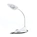 Desktop LED Reading Lamp