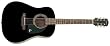 Epiphone DR-100 Acoustic Guitar, Ebony