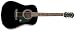 Epiphone DR-100 Acoustic Guitar, Ebony