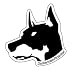 ☆ドーベルマン☆DOG FACEステッカー/防水加工: ちょっと大人テイストな可愛いワンちゃんステッカー<br><br>防水加工なので車・バイクなどにもGood! <br><br>■サイズ 約80mmX80mm