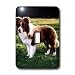 Dogs Border Collie - Border Collie Tan and White - Light Switch Covers - single toggle switch