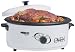 Nesco 4816-47-30 6-Quart  Roaster Oven with Removable Cookwell, Silver