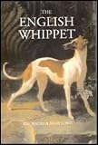 The English Whippet