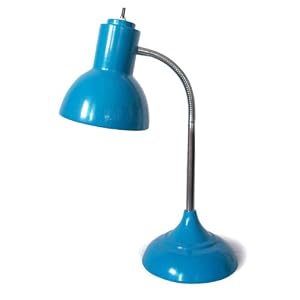 19 Adjustable Neck Metal Desk Lamp In Blue by 