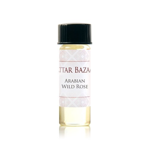 Arabian Wild Rose