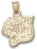 Panther Head Charm/Pendant -14K/10K, Stainless Steel or Gold Plated