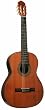 Giannini GWNC1-EL Sevilha Classical Guitar (Acoustic-Electric, Nylon)