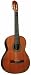 Giannini GWNC1-EL Sevilha Classical Guitar (Acoustic-Electric, Nylon)