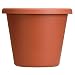 Akro-Mils LIA06000E35 Classic Pot, Clay, 6-Inch