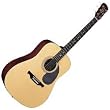 Alvarez RD20S Acoustic Guitar, Natural