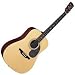 Alvarez RD20S Acoustic Guitar, Natural