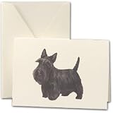 Scottish Terrier Dog Notes