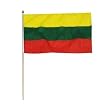Lithuania Flag 12 x 18 inch